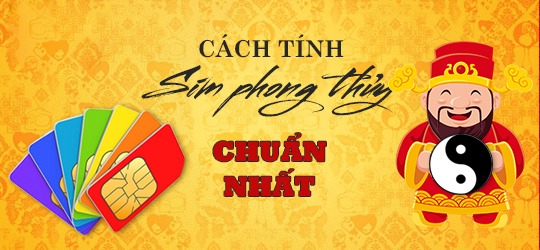 Xem SIM Phong Thủy